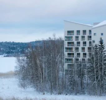 Гид по инфраструктуре вокруг Сокольников: школы, детсады, спорт, рестораны